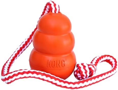 KONG Aqua Floating Fetch Toy, Natural Rubber, Orange, for Medium Dogs by KONG