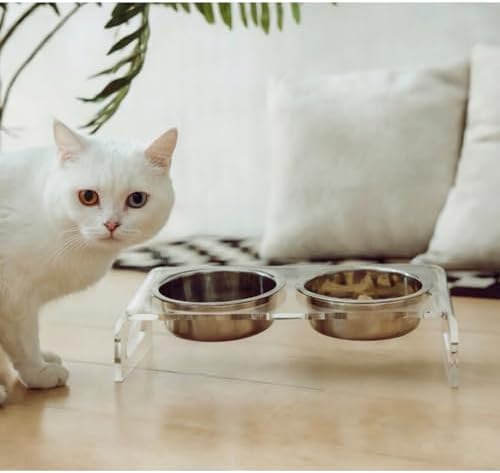 Tilted Raised Elevated Food and Water Bowls Stand for Cat or Small Dogs - Puppy's Clear Acrylic Stainless Steel Dishes Holder for Boy or Girl Pet,Modern,Durable and Easy to Clean by WBhonghui (Clear) - Image 4