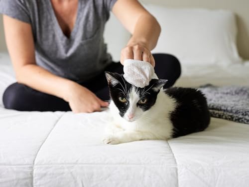 Cat All Purpose Pet WiPees™ – 100 Daily Cat Bath Wipes, All Natural Cat Wipes for Ears, Fur & Folds, Gentle Pet Wipes for Cats, pH-Balanced to Cats Specific Skin & Biome (Natural, 100ct) - Image 5