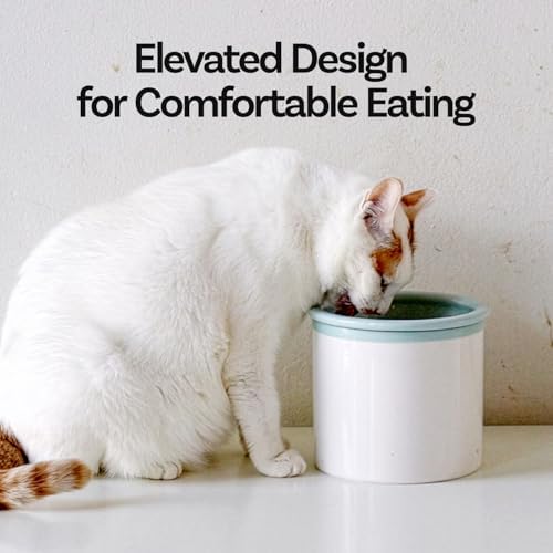 Hello Bowl Elevated Ceramic Cat Bowl with Stand, Raised Whisker-Friendly Feeding Bowl for Cats & Small Dogs, Patented Design, Made in Korea (3.9" H - White, Square/Dry) - Image 2