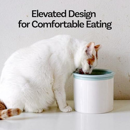 Hello Bowl Elevated Ceramic Cat Bowl with Stand, Raised Whisker-Friendly Feeding Bowl for Cats & Small Dogs, Patented Design, Made in Korea (3.9" H - White, Square/Dry) - Image 2