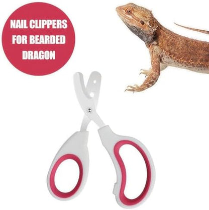 Stainless Steel Bearded Dragon Nail Clippers,Lizard Nail Clippers,Bearded Dragon Supplies,Bearded Dragon Nail Scissors for Small Reptiles,Turtle,Chameleon,Iguana，Hedgehog (Rose red) - Image 2