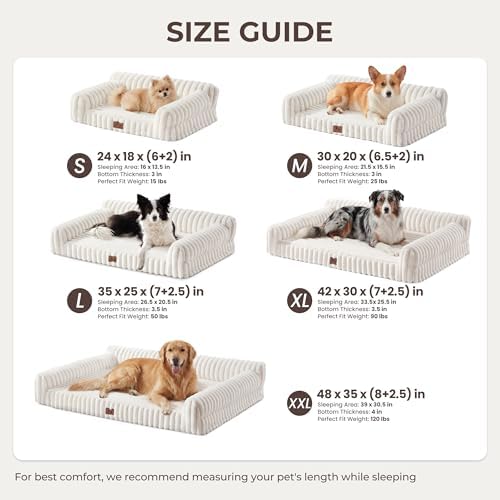 Orthopedic Dog Bed Medium 30x20x8.5” Washable Cover Cream - Image 2