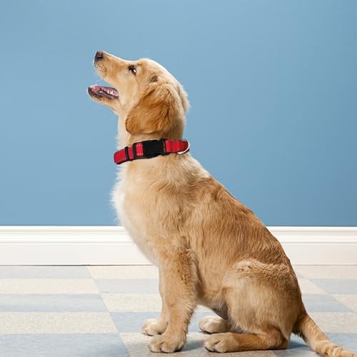 Reflective Dog Collar, Adjustable Soft Neoprene Padded Nylon Pet Collars with Buckle for Medium Dogs,M, Red - Image 2