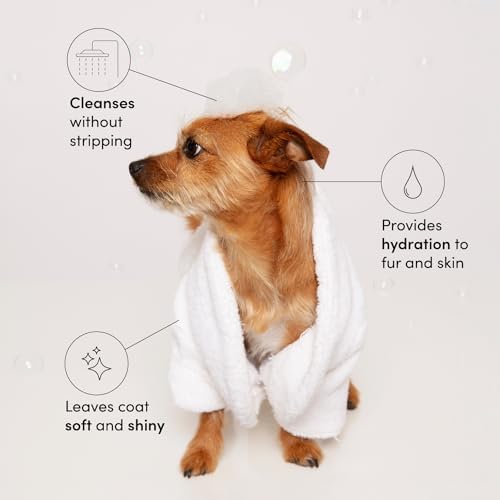 OUAI Fur Bébé Pet Shampoo - Mercer Street Scent (16 Fl oz) - Image 2