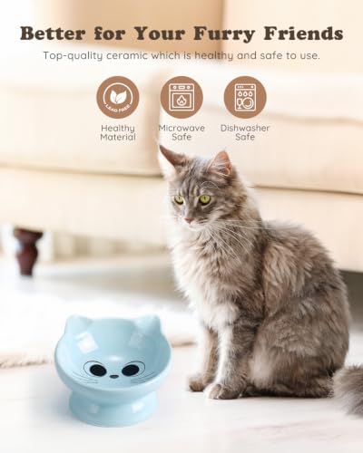 Raised Cat Food Bowl Ceramic 15° Tilted Cat Food Bowls Protect Cat's Spine Anti Vomiting Backflow Prevention Bowls for Adult Kitty, Kitten, and Small Dogs, Blue - Image 2