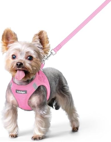 rabbitgoo Dog Harness Small Sized and Leash Set, Step-in Puppy Pet Vest by rabbitgoo