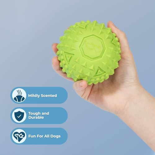 Best Pet Supplies Squeaky Dog Toys with Soft Durable Fabric for Small, Medium and Large Pets Interactive Toy for Indoor Play, Supports Active Biting and Play - Green, Large - Image 2