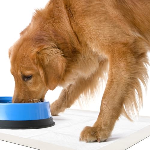OUT! PetCare Large Dog Pee Pads, Leak Proof Training Pads, 21x21, 50 Count - Image 6