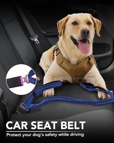 Joytale Tactical Bungee Dog Leash, Shock Absorbing No Pull, Navy Blue - Image 5
