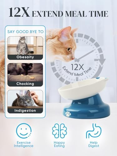 Y YHY Ceramic Slow Feeder Cat Bowl, Elevated Cat Bowl Tilted Design Slow Feeder for Dog and Cat for Dry and Wet Food, Blue - Image 2