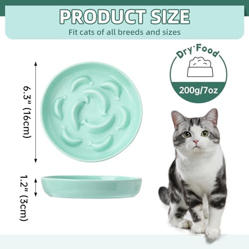 2 Pack Ceramic Cat Slow Feeder Bowl Set, 6.3" Wide, Slow Eating 5X - Image 2