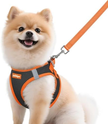 rabbitgoo Dog Harness Small Sized and Leash Set, Step in Soft Vest by rabbitgoo