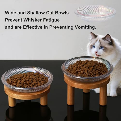 Cat Bowls Whisker Friendly with Wooden Stands. Raised Elevated Glass Whisker Fatigue Cat Bowl for Indoor Cats. 2PCS (Rainbow Colors) - Image 5