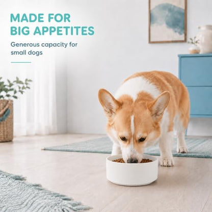 Havniva Ceramic Dog Bowls, 6.1” Dog Food and Water Bowl, Pet Feeding Bowl - Image 6