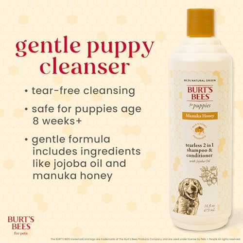 Burts Bees for Pets Manuka Honey 2-in-1 Shampoo and Conditioner, 16 Fl Oz - Image 2