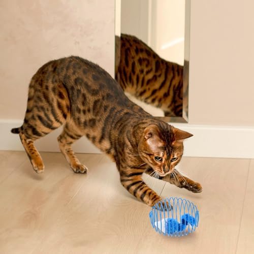 Jecery 5 Pcs Cat Toys Spring,Mouse,Blue White - Image 6