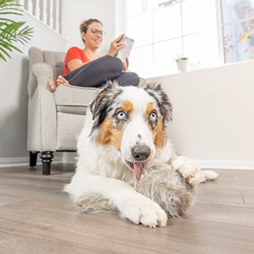 Hyper Pet Doggie Tail Interactive Plush Automatic Dog Toy, Wiggles, Barks - Image 2