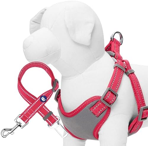 Blueberry Pet Pastel Colored Reflective Dog Harness with Seatbelt Clip – Adjustable No-Pull Pet Vest for Walking and Car Safety, Medium Size in Very Berry by BlueberryPet