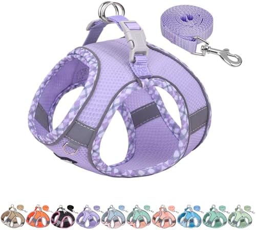 AIITLE Escape-Proof Dog Harnesss and Leash Set, Step in Pet Vest, Purple L by AIITLE-FORPETSBETTERLIFE