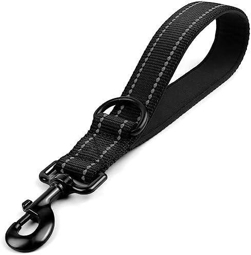 Joytale Short Dog Leash for Close Control & Training, 12", Black by Joytale