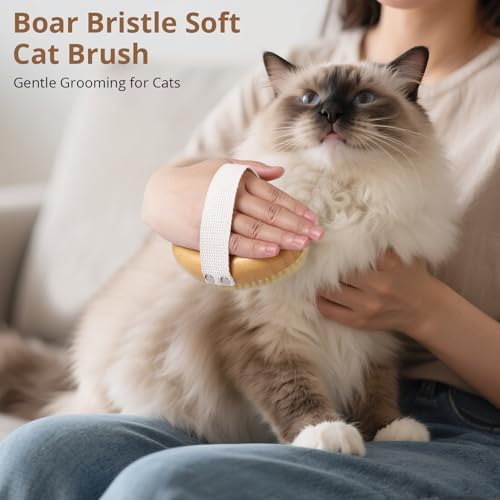 Boar Bristle Cat Brush for Indoor Cats, Cat Hair Brush Gentle Grooming, Reduce Shedding, Soft Hair and Healthy Shine, Bamboo Handheld with Soft Boar Bristles and Band for Short Haired Cats Dogs - Image 6