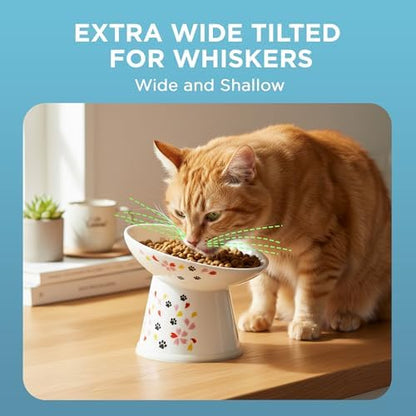 Necoichi Raised Cat Food Bowl, 15° Tilted (Sakura Floral, Extra Wide) - Image 2