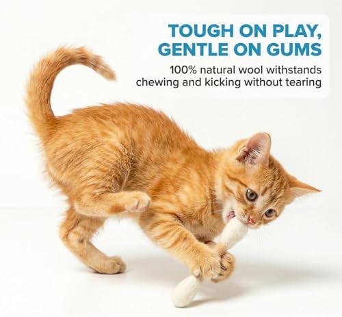 Glaciart One MINI Swabs Cat Toys with Catnip - 6 Pk | Durable for Chew, Cute Cat Toys Interactive Kitty for Boredom, Exercise, & Play | Filled w/Organic Catnip for Anxiety & as Digestive Aid - Image 5