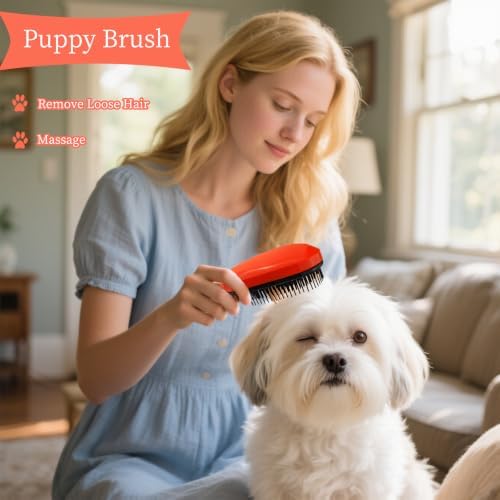 Comma-Shaped Small Dog Brush, Puppy Essentials (Orange) - Image 6