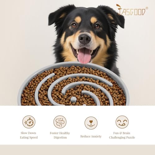 JASGOOD Slow Feeder Dog Bowl - Anti-Gulping, Prevents Bloat & Choking, Healthy Design for Large & Medium Dogs - Image 6