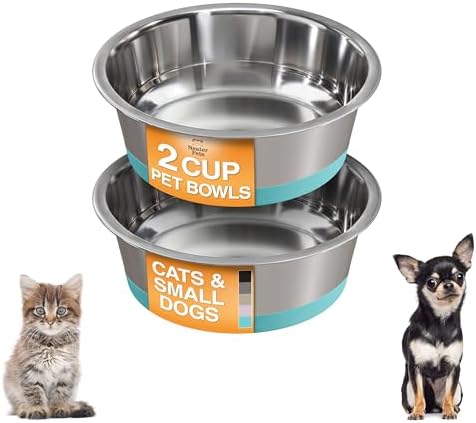Neater Pet Brands Stainless Steel Dog Bowls with Non-Slip Rubber Bottom – 2 Cup (16 oz), Teal - Set of 2 Heavy Duty Metal Dog Bowls, Dishwasher Safe, Food or Water Bowl, Ideal for Small Dogs & Cats by NeaterPetBrands