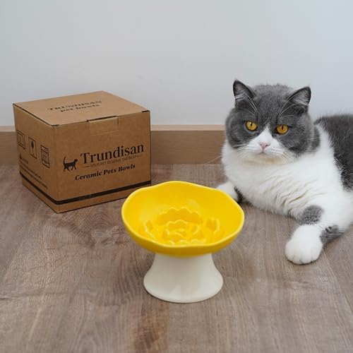 Ceramic Slow Feeder Bowl for Cats and Small Dogs, Elevated Tilted Pet Food Dish, Whisker Friendly Anti-Vomit Design, Heavy Stable Base, Dishwasher Safe， 5 Colors Options (Lemon Yellow) - Image 5
