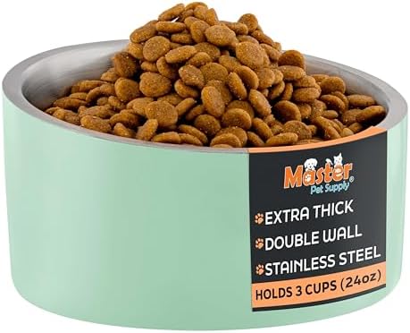 Master Pet Supply Stainless Steel Slanted Dog Cat Food Bowl 24 oz Pistachio by MasterPetSupply