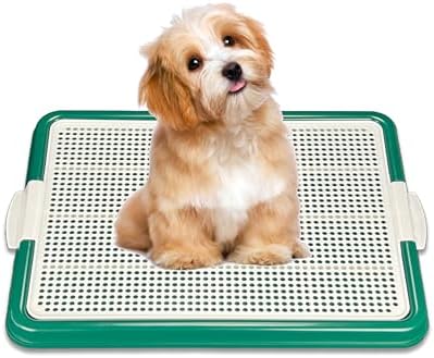 Dog Pee Pad Holder Tray, Puppy Potty Training, 22.5"x16.5", PP Plastic, Snap Lock, 4 Colors (Green) by Unknown