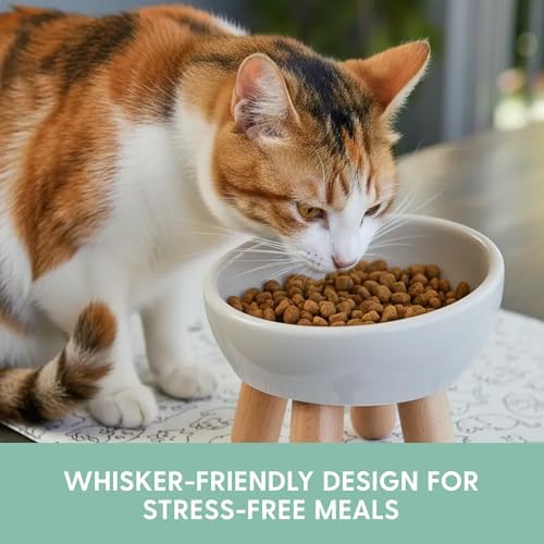 The Cat Ladies Tilted Ceramic Cat Bowl - Elevated Food Bowls Ceramic Pet Bowl - Raised Ceramics Bowls - Elevated & Tilted Design for Comfortable Eating - Dishwasher Safe - Wide Opening - Image 4