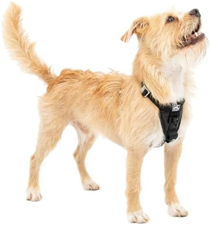 Kurgo Enhanced Strength Tru-Fit Smart Harness, Black, Small by Kurgo