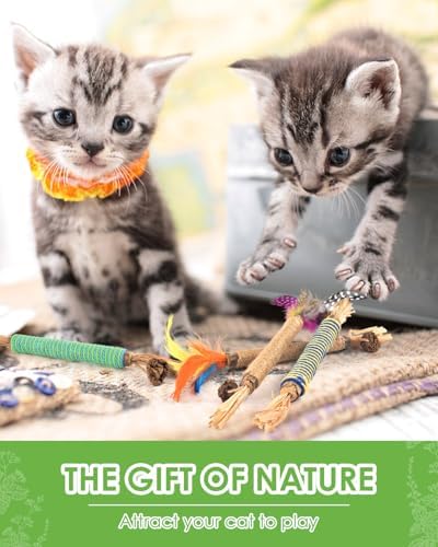TINDTOP Catnip Chew Toys for Cats, 4 Pack Natural Silvervine Sticks for Kittens Teeth Cleaning, Matatabi Dental Care, Increase Appetite, Aggressive Chewers Cat Dental Toy - Image 6