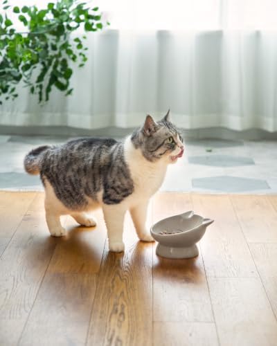 Raised Cat Food Bowl Ceramic 15° Tilted Cat Food Bowls Protect Cat's Spine Anti Vomiting Backflow Prevention Bowls for Adult Kitty, Kitten, and Small Dogs, Grey - Image 7