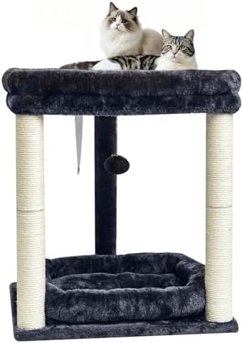 SYANDLVY Small Cat Tree for Indoor Cats with 2 Levels Perch Platforms by SYANDLVY