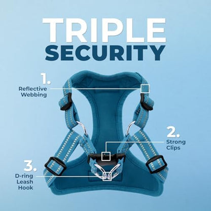 Best Pet Supplies Voyager Adjustable Step-in Flex Breathable Mesh Dog Harness for Small Medium Large Dogs Leash Set (Turquoise), XS - Image 2