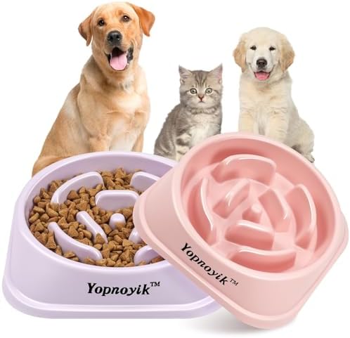 2 Pack Slow Feeder Dog Bowls for Medium Dogs & Cats by Yopnoyik