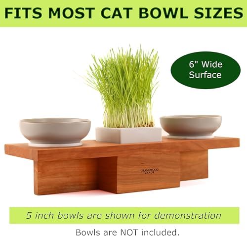 Solid Cherry Wood Raised Cat Feeding Station with Built-in Grass Planter - Image 5