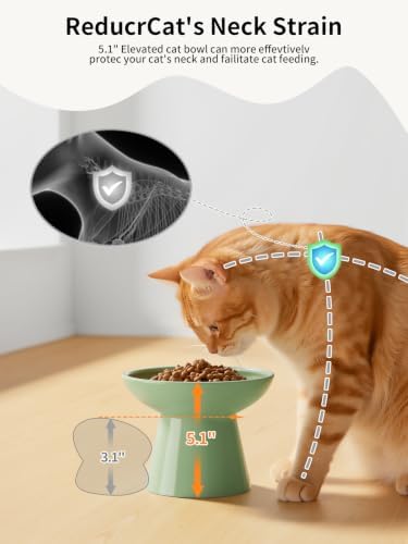LoeJan Elevated Cat Food and Water Bowls Set, Extra Wide and Raised Ceramic Bowls, Anti-Vomit Whisker-Free Pressure Cat Feeder for Kittens to Adult Cats and Small Dogs - Image 3