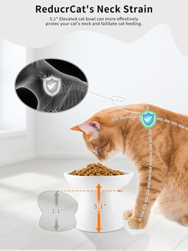 LoeJan Elevated Cat Food and Water Bowls Set, Extra Wide and Raised Ceramic Feeder, Anti-Vomit Whisker-Free Pressure Feeding Bowl for Kittens Adult Small Dogs - Image 3