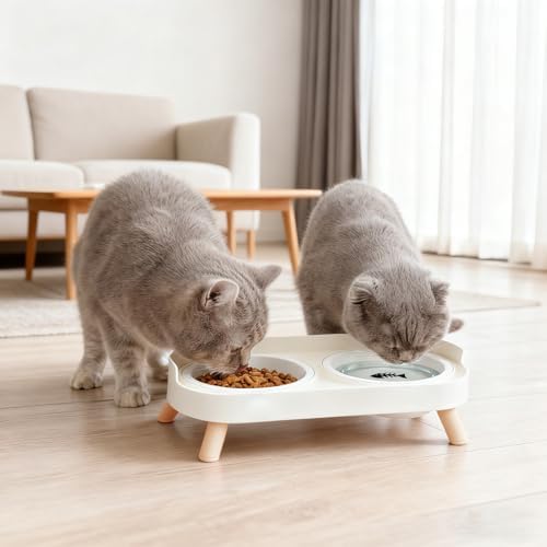 Elevated Cat Bowls, 2 Ceramic Raised Cat Food and Water Bowl Set, Prevent Cat Chin Acne, Whisker Fatigue Friendly, Splash Proof & Dishwasher Safe for Indoor Cats and Small Dogs - White - Image 5