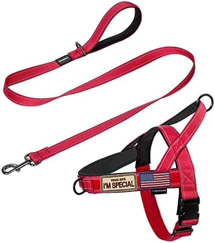 Annchwool No Pull Dog Harness with Padded Handle+5 Ft Leash,Reflective Strip Escape Proof and Quick Fit to Adjust Dog Harness,Easy for Training Walking for Small & Medium and Large Dog(Red-Set,M) by Annchwool