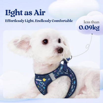 rabbitgoo Dog Harness Small Sized and Leash Set, Step-in Puppy Pet Vest - Image 3