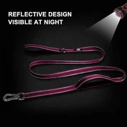 Twoear 4FT 1IN Heavy Duty Dog Leash for Large Dogs with 2 Padded Handles - Image 5
