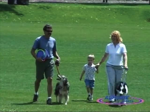 Aerobie Dogobie Disc Outdoor Flying Disc for Dogs - Colors May Vary