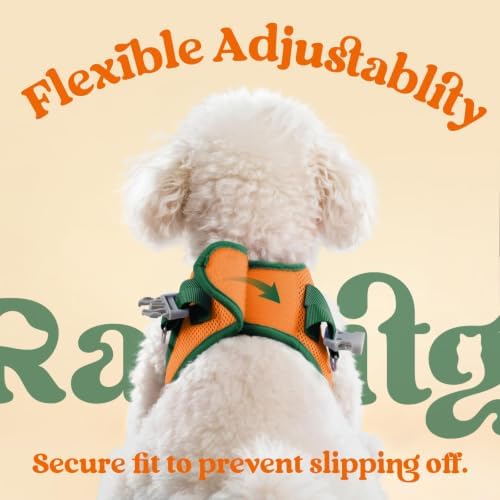 rabbitgoo Dog Harness Small Sized and Leash Set, Step in Soft Vest - Image 6